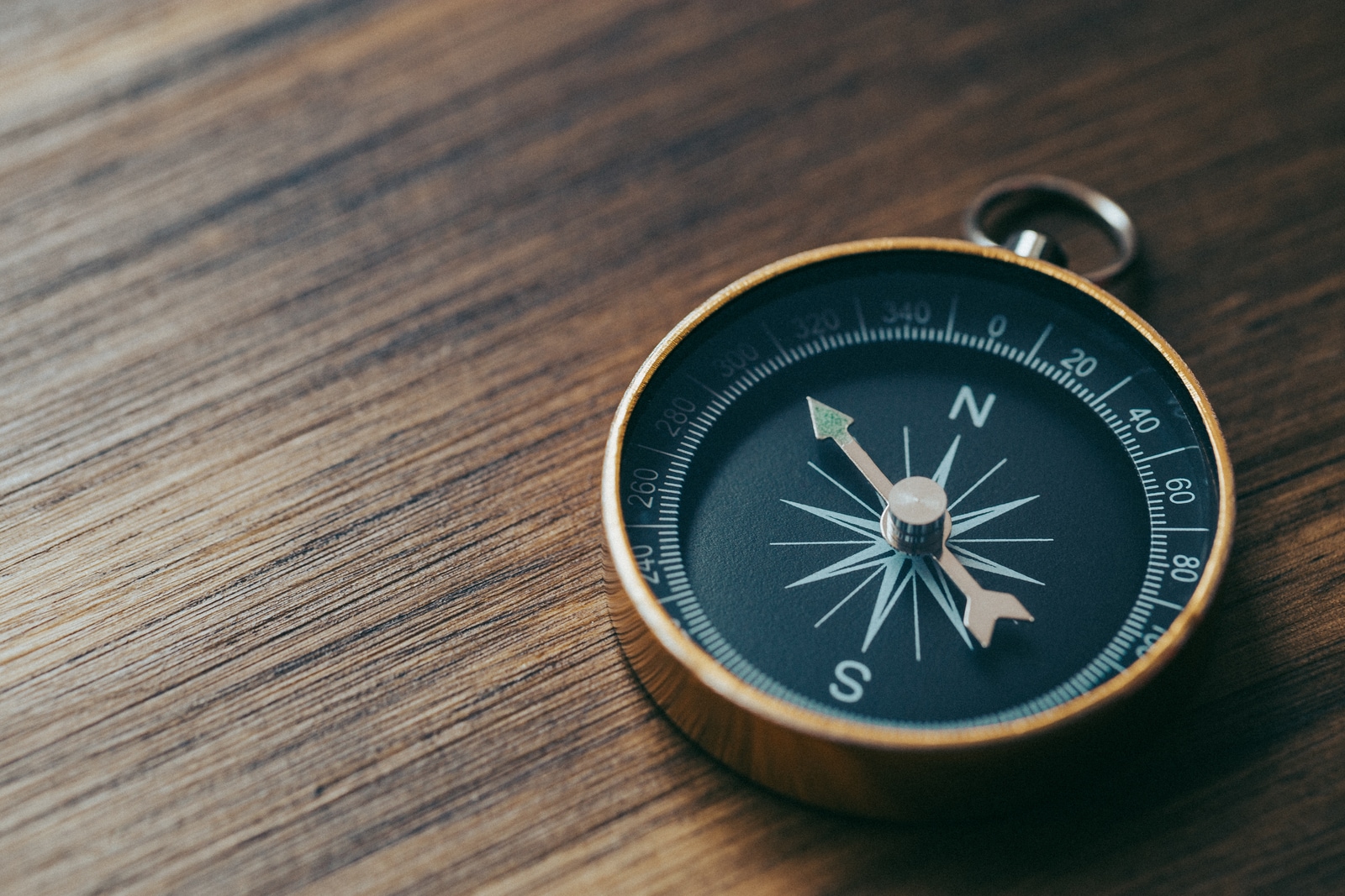 cfo compass survey